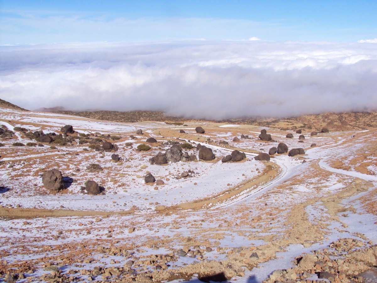 Huevos de Teide, Tenerife