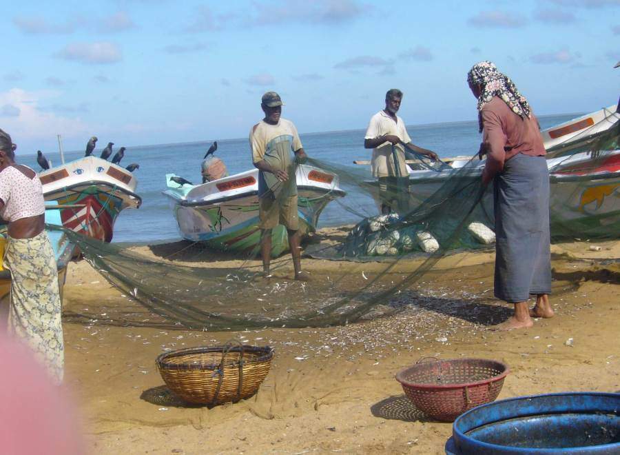 Chytání ryb na Srí Lance