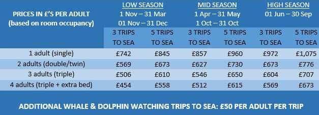 Ceny na Azorských ostrovech ceny delfíní show