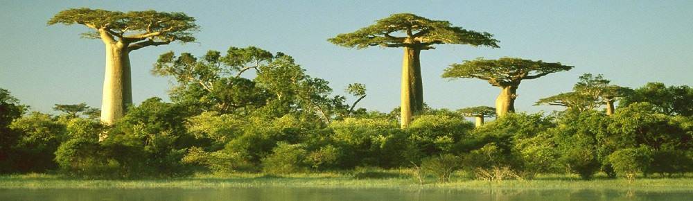 Dovolená v Senegalu first minute zájezdy sleva