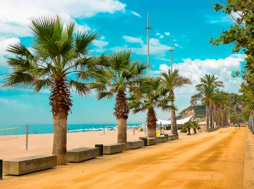 Španělsko a pobřeží s palmami a pláží